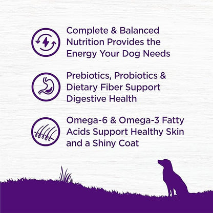 Wellness Complete Health Dry Dog Food, Wholesome Grains, Natural, Whitefish & Sweet Potato Recipe, (26-Pound Bag)