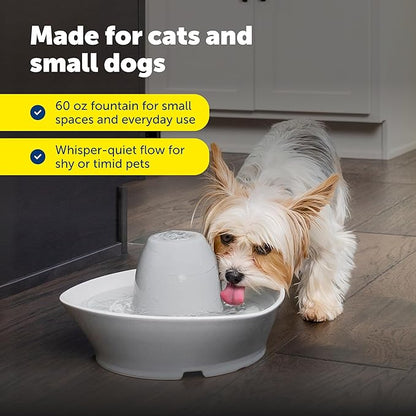 PetSafe Creekside Ceramic Pet Fountain, 60 Oz, Extra Filters | 60 Oz Capacity, Whisper-Quiet Flow, Includes 12 Extra Carbon & 2 Extra Foam Filters, Dishwasher Safe, Cats & Small Dogs