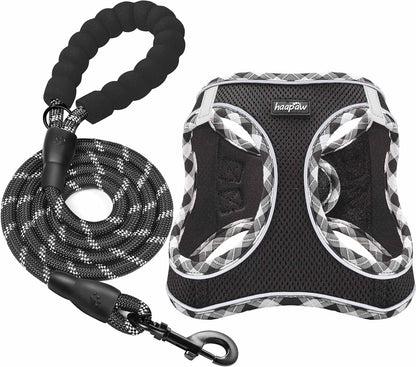 haapaw Dog Harness with Leash Set, No Pull Adjustable Reflective Step-in Puppy Harness with Thickened Padded Vest for Extra-Small/Small Medium Dogs