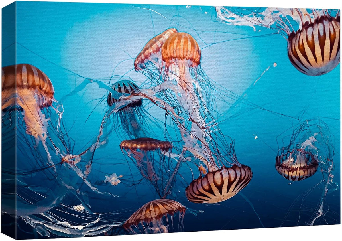 wall26 Canvas Print Wall Art Tiger Stripe Jellyfish Underwater Ocean Sea Nature Animals Photography Realism Rustic Scenic Landscape Wilderness Colorful for Living Room, Bedroom, Office - 32"x48"