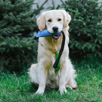 Dingo fire Hose tug Toy for Dog with Strong Bungee Handle, Long Toy for Dog Training, Agility Sport, tug of war, Handle 11-19in Blue 15670