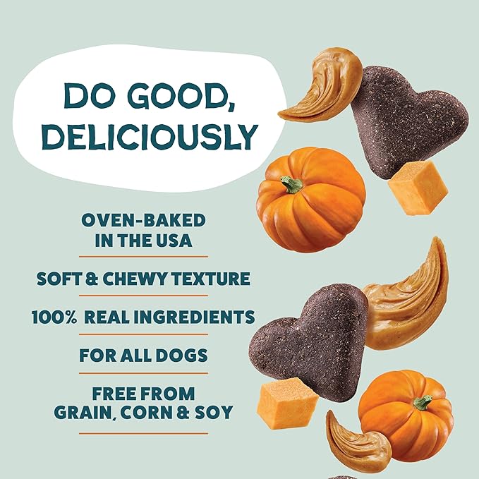 Shameless Pets Soft-Baked Dog Treats, Pumpkin Nut Partay - Natural & Healthy Chews for Digestive Support with Fiber - Doggy Biscuits Baked & Made in USA, Free from Grain, Corn & Soy - 1 Pound 1Pack