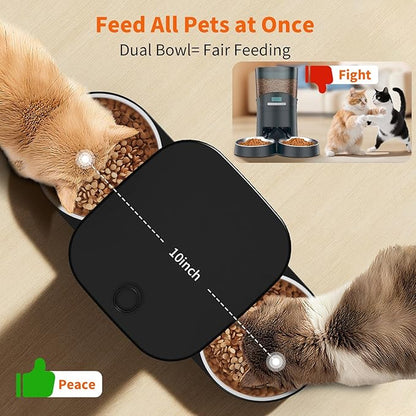 HoneyGuaridan Automatic Cat Feeder