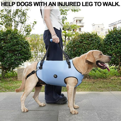 Coodeo Dog Lift Harness, Pet Support & Rehabilitation Sling Lift Adjustable Padded Breathable Straps for Old, Disabled, Joint Injuries, Arthritis, Loss of Stability Dogs Walk (Blue, M)