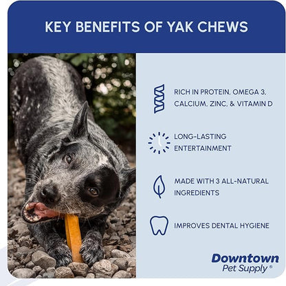 Downtown Pet Supply Regular Yak Chew 2 lbs. (1 lb 15.5 OZ 2 lb 1 OZ) - NEPAL