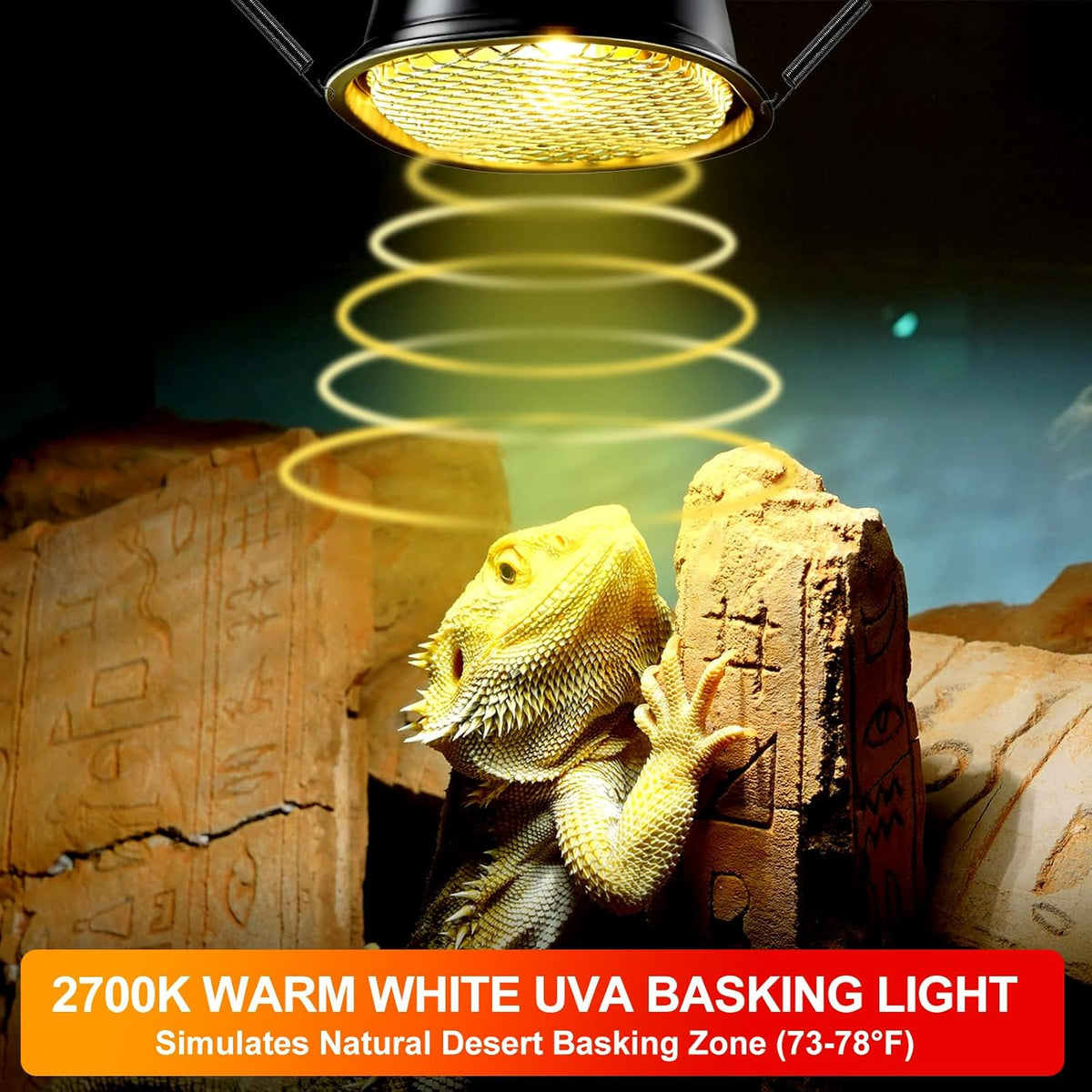 REPTI ZOO G9 Reptile Heat Lamp Bulb & Reptile Light Fixture with Safety Mesh Kit, 50W UVA Basking Light Fixture for Bearded Dragon Gecko Lizard Turtle Snake Chicken, Low Profile Warm White Heat Bulb