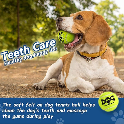 Squeaky Tennis Balls for Dogs - 12 Pack 2.5'' Durable Non-Toxic Outdoor Dog Toys Balls with Mesh Bag, SGS Certified, Colorful Fetch Toys, Medium Large Breeds