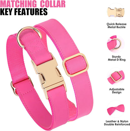PET ARTIST Soft PU Leather Dog Collar, Bright & Stylish Hot Pink Dog Collar Girl with Quick Release Rose Metal Buckle, Nylon Padded Durable Pet Collars Adjustable for Medium Dogs, Neck Fit 13-19"