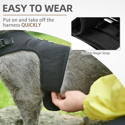PUPTECK Soft Mesh Cat Vest Harness and Leash Set Puppy Padded Pet Harnesses Escape Proof for Cats Small Dogs Rabbits Bunny, Black Large