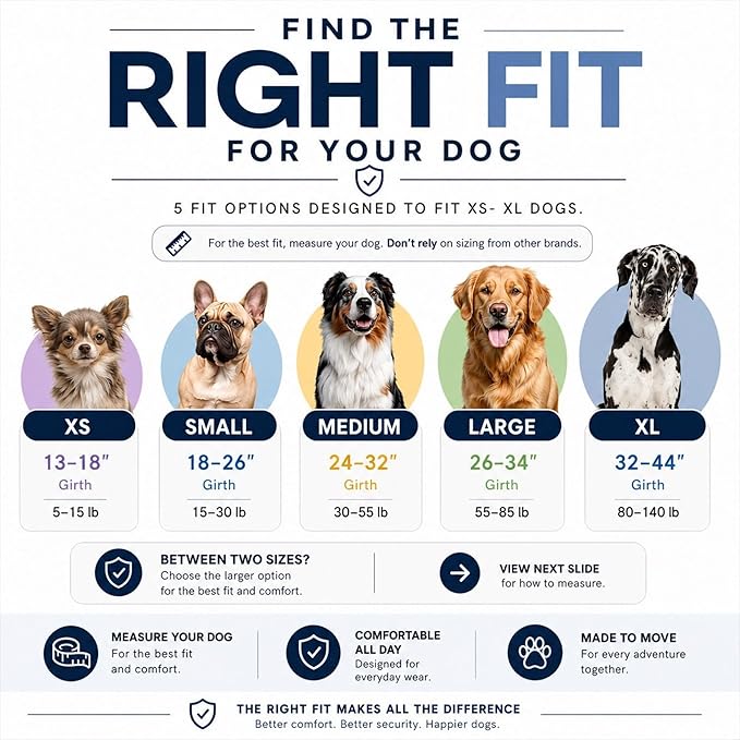 ShawnCo Essential Pro Dog Harness, No-Pull Pet Vest with 3 Leash Clips and Removable, Reflective Side Patches, Adjustable and Padded Harness for Small, Medium and Large Dogs (Mustang Red, M)