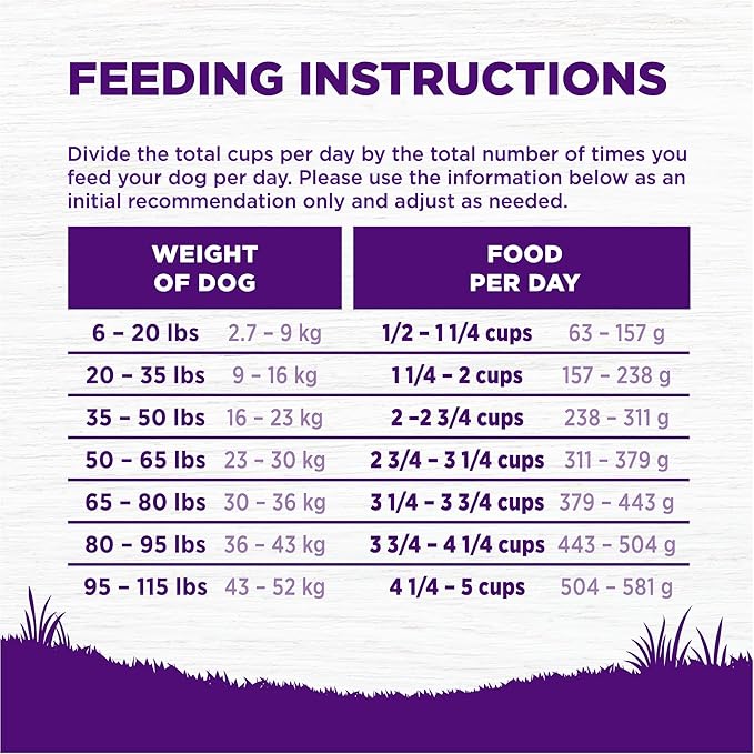 Wellness Complete Health Dry Dog Food with Grains, Natural Ingredients, Made in USA with Real Meat, All Breeds, For Adult Dogs (Lamb & Barley, 5-Pound Bag)