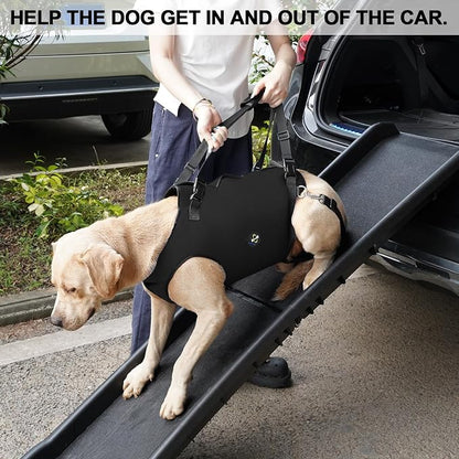 Coodeo Dog Lift Harness, Pet Support & Rehabilitation Sling Lift Adjustable Padded Breathable Straps for Old, Disabled, Joint Injuries, Arthritis, Loss of Stability Dogs Walk (Black, 2XL)