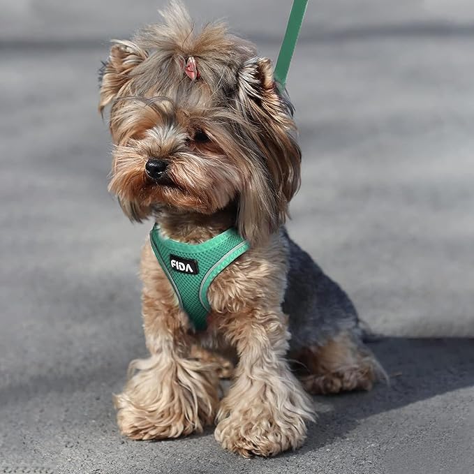 Fida Cat Harness and Leash Set for Walking Kitten and Puppy, Escape Proof Kitten Harness with Breathable Lightweight Soft Mesh, Adjustable Reflective Step-in Design. (XS, Green)