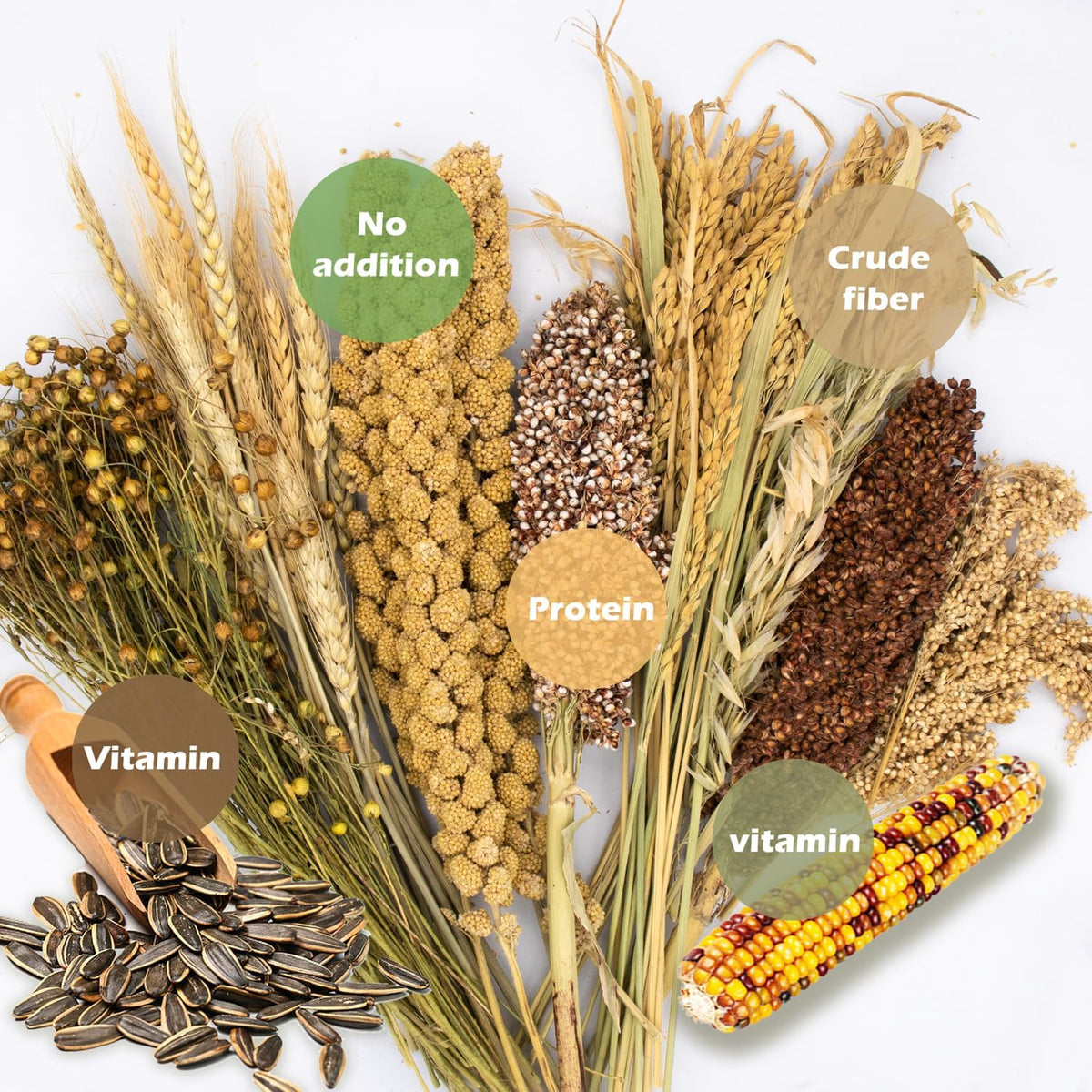 Natural Ear of Grain Flower&Herb Bedding Mate Habitat Decor, Adding Fun Hamster Accessories for Hamsters Gerbils Lemming