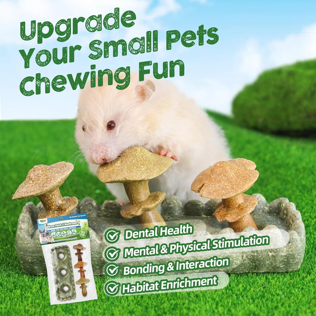 TEEWY 4PCS Guinea Pig Chew Toys, Prevent Teeth Overgrowth, Natural Vegetables and Timothy Grass, Hamster Chew Toys, Guinea Pig Toys, Chinchilla Toys, Grass Patch & Mushrooms