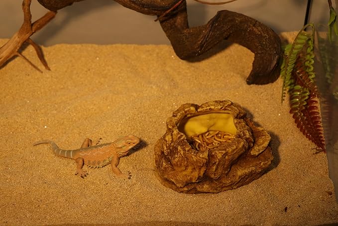 AQUA KT Reptile Food Mealworm Feeding Bowl Corn Snake Water Dish Anti Escape for Lizard Bearded Dragon Chameleon Leopard Gecko Terrarium Feeder