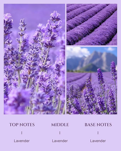 Aromadd Lavender Diffuser Oil Inspired by Luxury Hotel Scent, Essential Oils