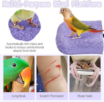 PINVNBY 5 Pack Bird Perch Resin Bird Beak Grinding Stone Parrot Cage Perch Stand Platform Foot Claws Trimmer Chew Toy Bird Cage Accessories for Budgie Cockatiel Conure Lovebird Finch (Purple)