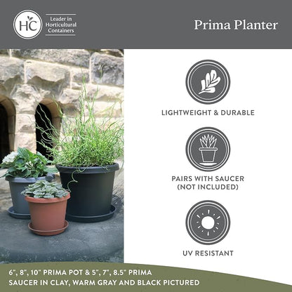 The HC Companies 6 Inch Prima Round Planter Pots with Drainage Holes and Rolled Rim, Lightweight UV-Resistant Plastic Indoor & Outdoor Planters, 4-Pack Flower Pots for Garden & Home Decor, Dusty Teal