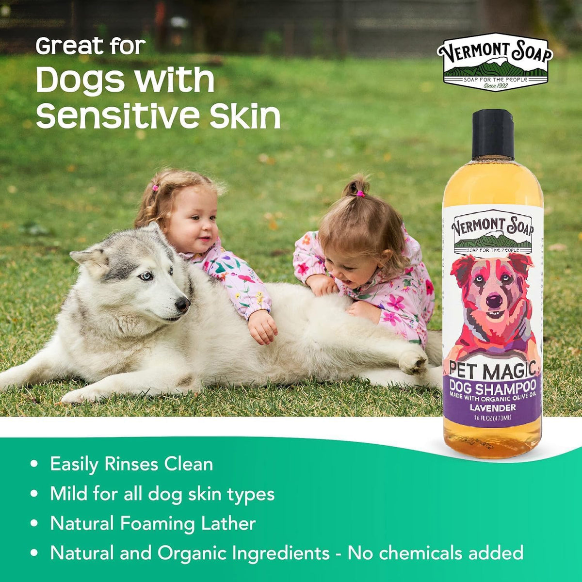VERMONT SOAP Organics Pet Shampoo - Infused with Organic & Natural Olive Oil, Coconut & Aloe Vera Dog Shampoo for Sensitive Skin - USDA Certified Grooming Pet Shampoo - Lavender (16oz)