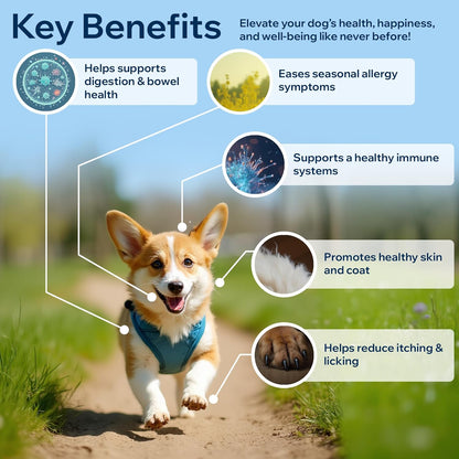 Dog Probiotics for Yeast, Itchy Skin and Itchy Ears, Allergy Relief, Daily Immune Support with Prebiotic & Digestive Enzymes (Gut Health) for Dogs, Reduce Diarrhea, Constipation & Gas Relief - 90ct