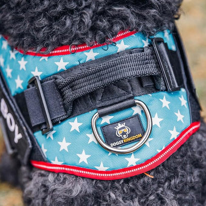 Personalized Dog Harness with Custom Name Patches, Adjustable Reflective No Choke Dog Vest with Handle for XXL Dog, US Flag, 2XL