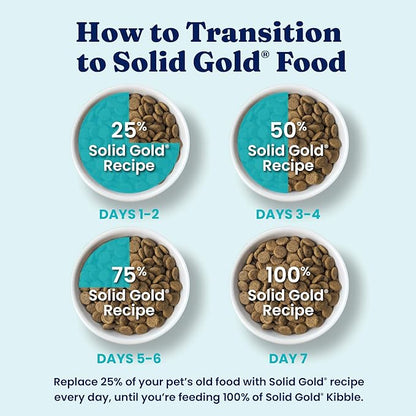 Solid Gold Salmon Dog Food for Sensitive Stomachs – Grain Free & Gluten Free Kibble w/Probiotics to Support Gut Health & Digestion - Sensitive Stomach Dog Food for All Ages – Nutrientboost™ – 22 LB