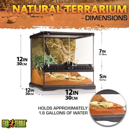 Exo Terra Glass Terrarium Kit, for Reptiles and Amphibians, Mini Wide, 12 x 12 x 12 Inches, PT2600A1