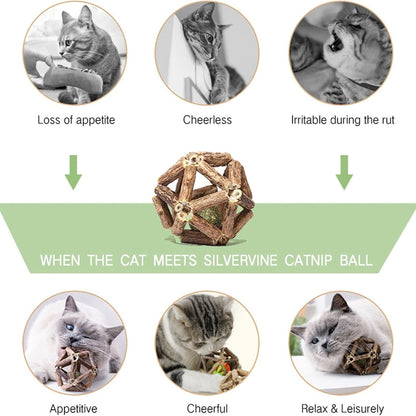 Natural Silvervine Stick Catnip Ball Bell Ball Cat Toys For Indoor Cats- Cleaning Teeth Molar Tools Cat Chew
