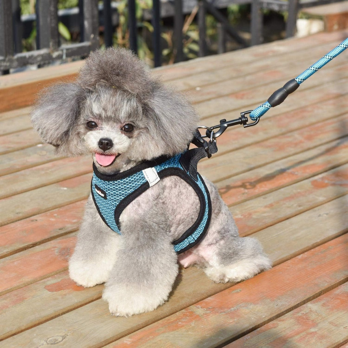 Breathable Puppy Cat Dog Vest Harnesses For Small Medium Dogs