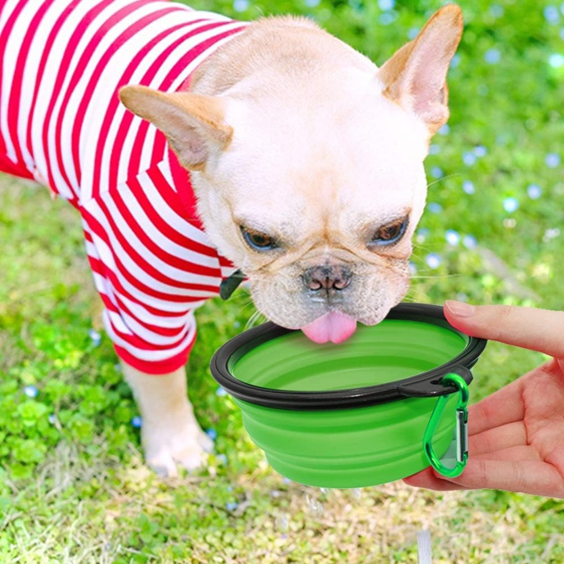 Dog Bowl Pet Collapsible Bowls, 2 Pack For Cats Dogs, Portable Pet Feeding Watering Dish For Walking Parking Traveling With 2 Carabiners