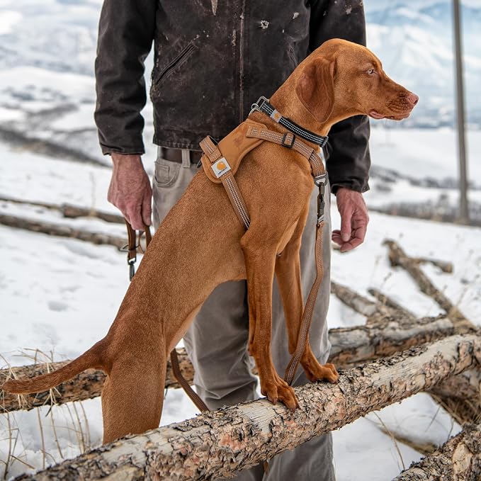 Carhartt Nylon Duck No Pull Dog Harness, Fully Adjustable Dog Harness with Quick Control Handle and Reflective Accents, Gravel, Medium
