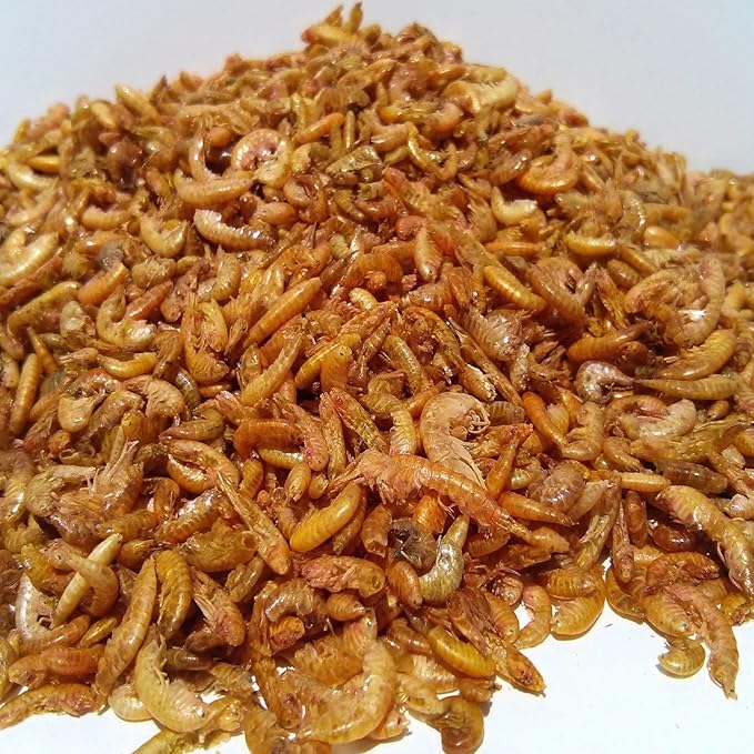 Aquatic Foods Inc. Gammarus - Freeze Dried Gammarus for Small & Medium Tropical Fish, Cichlids, Groumis, Catfish, Marine Fish, Corals, Anemones, Baby Koi and Pond Fish - 2-lbs