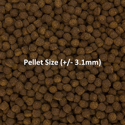 Ocean Nutrition Fish Food - Cichlid Pellets, High Protein (41%) Soft Moist Sinking Pellets for Omnivorous Predatory Cichlids - Enhances Color & Growth, 7 oz (200 g), Medium Pellet