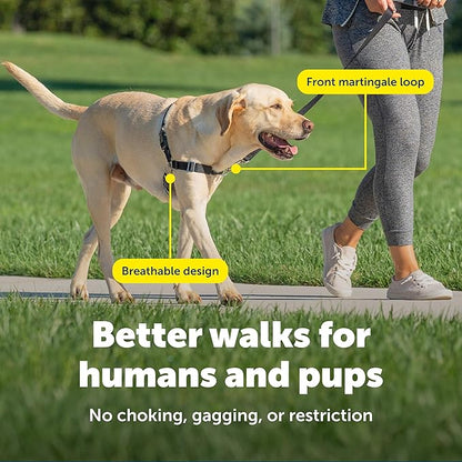 PetSafe Easy Walk Harness, No Pull Dog Harness, Royal Blue, Medium | Patented Martingale Loop Gives Gradual Shoulder Pressure to Stop Pulling, Front-Chest Leash Clip Prevents Gagging