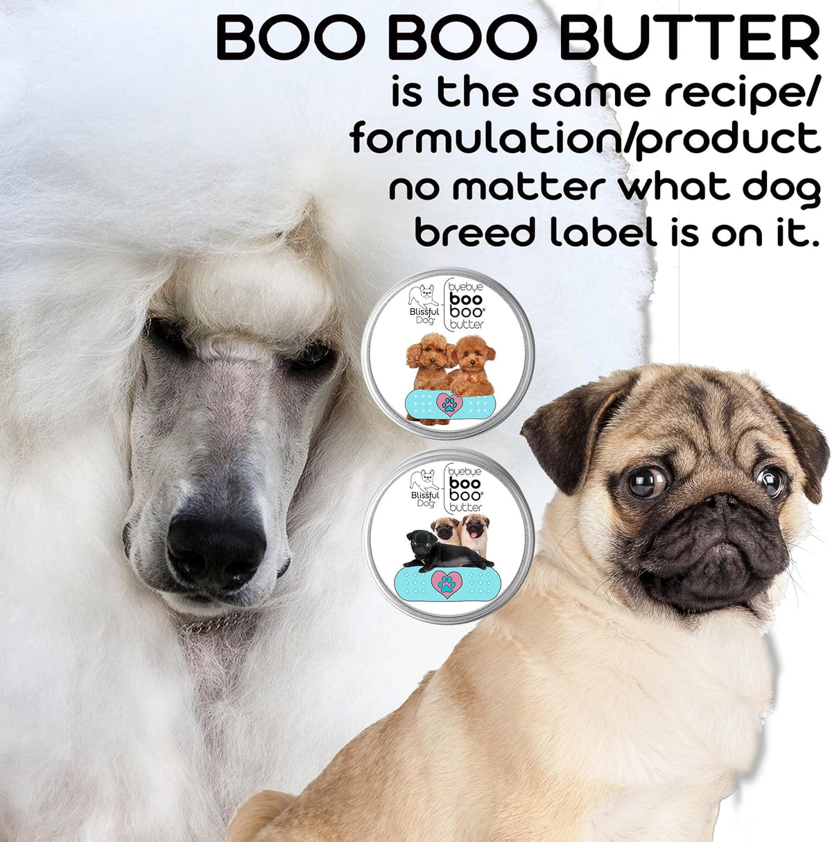 The Blissful Dog Dogo Argentino Boo Boo Butter, 8-Ounce