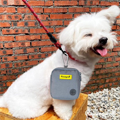 Dog Treat Pouch for Pet Walking and Training with Clicker Poop Bags Small Fanny Zipper Pack Holder for Puppy Snack Dispenser Kit for Leash and Outdoor Use （Gray）