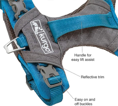 Kurgo Journey Air Dog Harness, Orange, Small | Padded Chest, Ripstop Outer & Breathable Mesh, Back Assist Handle, Rust-Free Aluminum Hardware, Reflective Trim