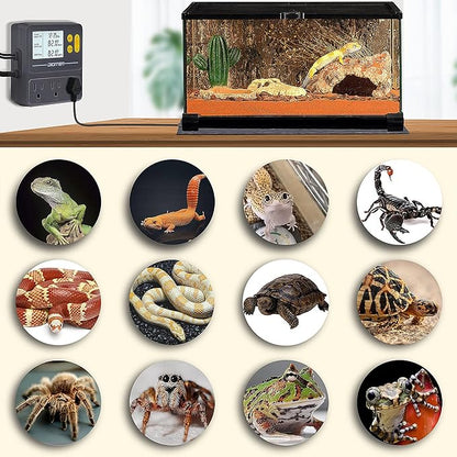 DIGITEN Reptile Temperature Controller