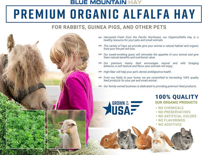 Blue Mountain Hay High-Altitude Hay - Organic Alfalfa, 25lb - High Protein, Fiber & Mineral-Rich - Soft, Leafy, High Leaf Retention - Ideal for Goats, Rabbits, Guinea Pigs & Other Small Animals