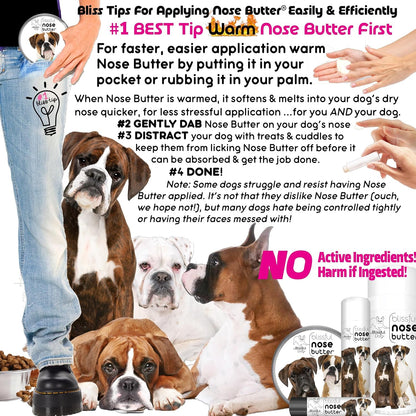 The Blissful Dog Boxer Duo Unscented Nose Butter, 16oz