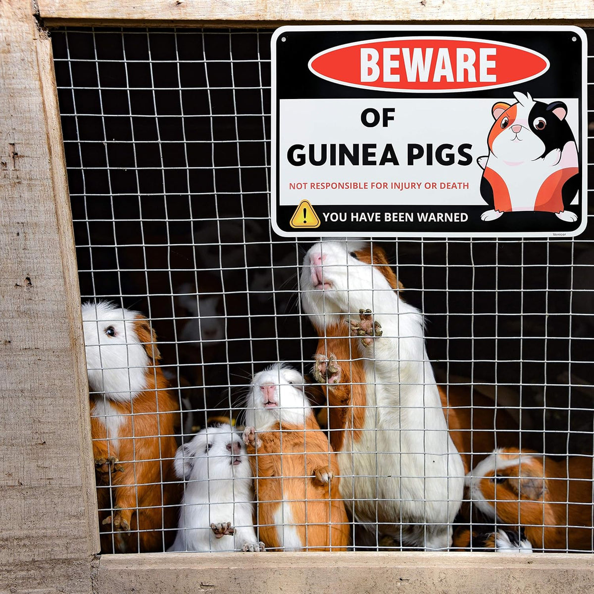 Venicor Guinea Pig Sign Decor - 8 x 12 Inches - Aluminum - Guinea Pig Gifts for Guinea Pig Lovers - Cage Accessories Toys Stickers Stuff