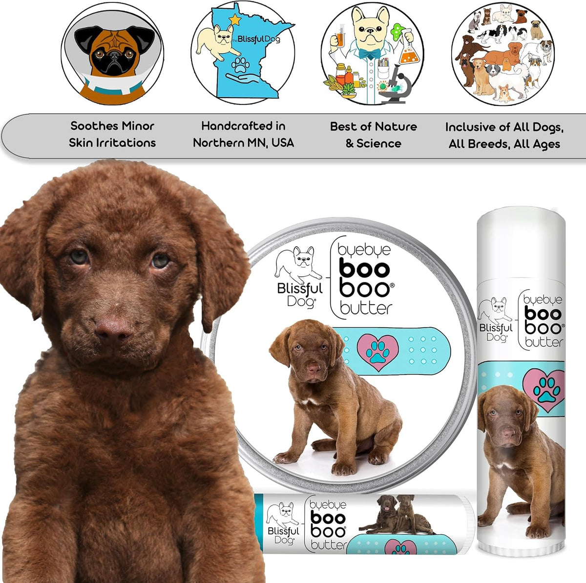 The Blissful Dog Chesapeake Bay Retriever Boo Boo Butter, 2-Ounce