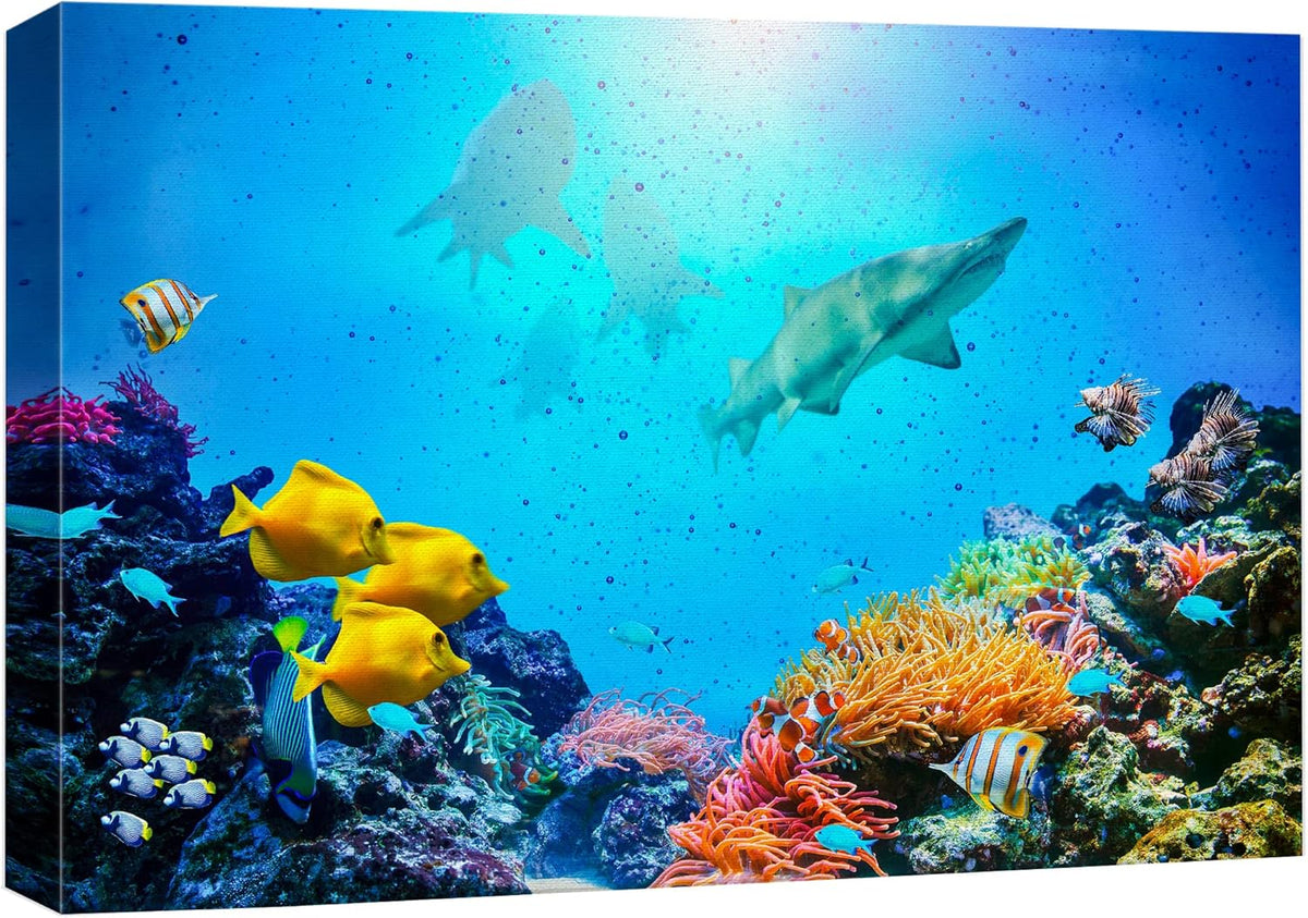 wall26 Canvas Print Wall Art Vibrant Coral Reef Shark Fish Anemone Reef Nature Animals Photography Realism Rustic Scenic Landscape Wilderness Earth for Living Room, Bedroom, Office - 32"x48"