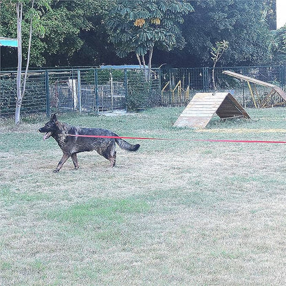 Dog/Puppy Obedience Recall Training Agility Lead - 15ft 20ft 30ft 40ft 50ft Training Leash - Great for Play, Camping, or Backyard - Black 40ft (40Feet, Black)