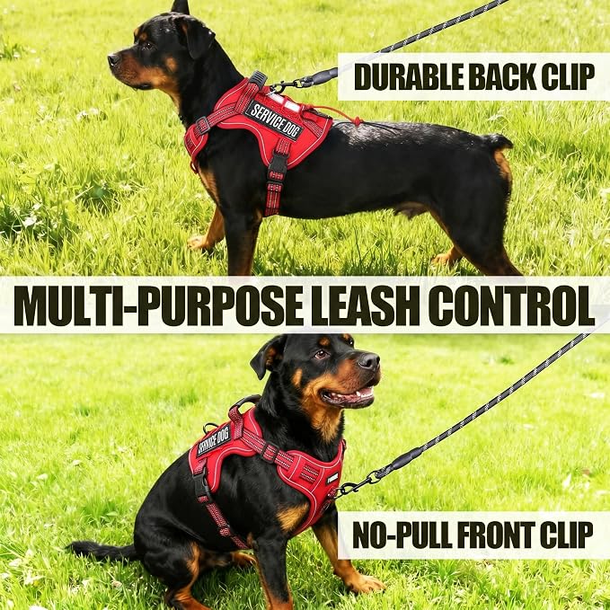 Service Dog Tactical Vest Harness and Leash Set Large Sized Dog Emotional Support- Tactical Dog Harness Training Collar with Name (Red, S)