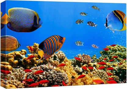 wall26 Canvas Print Wall Art Tropical Island Underwater Fish Red Anemone Nature Animals Photography Realism Rustic Scenic Landscape Wilderness Colorful for Living Room, Bedroom, Office - 32"x48"