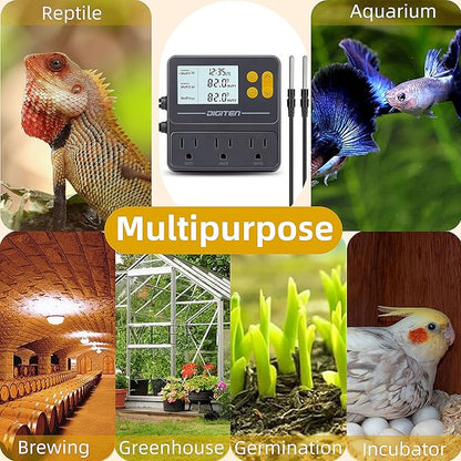 DIGITEN Reptile Temperature Controller