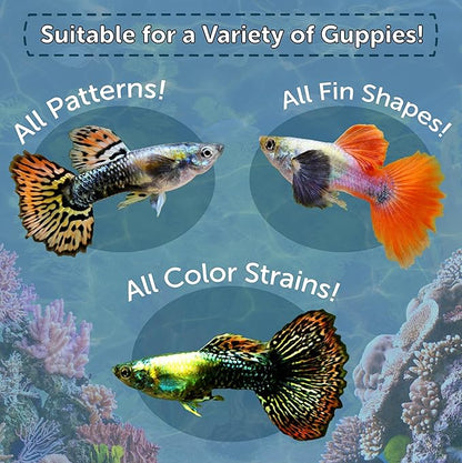 Aquatic Foods Inc. Guppy Premium Flakes, for Guppies, Endler Guppies, Mollies, Platys, Swordtail Fish, All Live Bearer Tropical Fish, 4-Type Wafer Mix & 12-Type Pellet Mix Included...7.0oz Canister