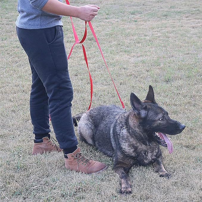 Dog/Puppy Obedience Recall Training Agility Lead - 15ft 20ft 30ft 40ft 50ft Training Leash - Great for Play, Camping, or Backyard - Black 40ft (40Feet, Black)
